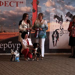 IMG_9259