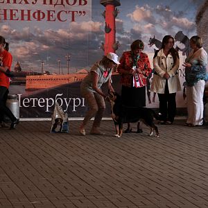 IMG_9264