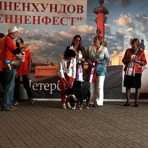 IMG_9278