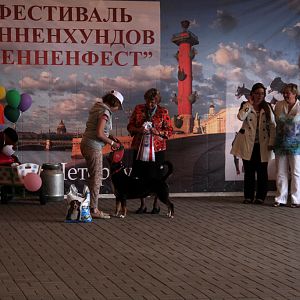 IMG_9282