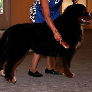 IMG_6040