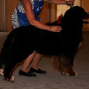IMG_6042