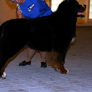 IMG_6043
