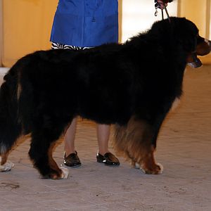 IMG_6044