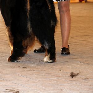 IMG_6046