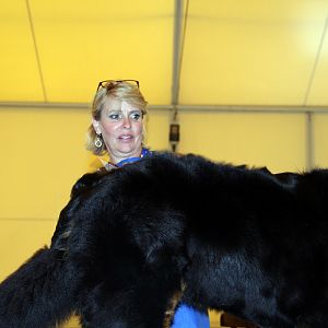 IMG_6100