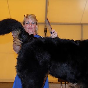 IMG_6102