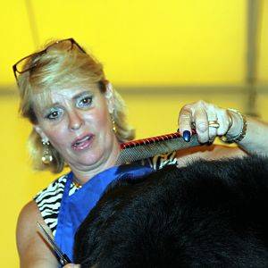 IMG_6107