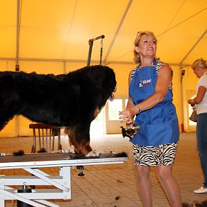 IMG_6116
