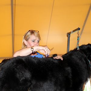 IMG_6128