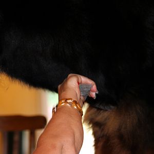IMG_6164