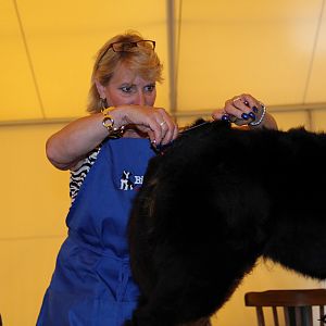 IMG_6172