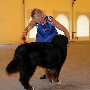 IMG_6175