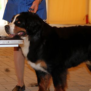 IMG_6183