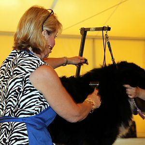 IMG_5918