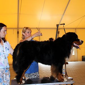 IMG_5926