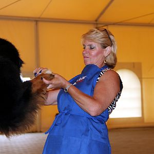 IMG_5935