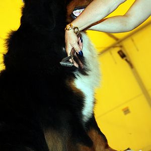 IMG_5994