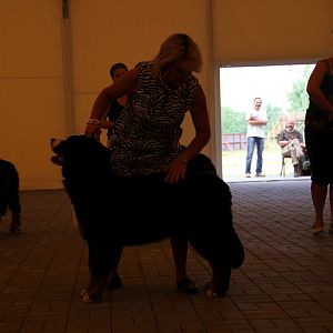 IMG_6284