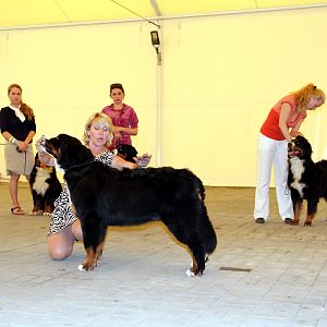 IMG_6294