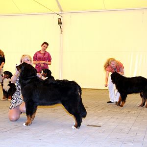 IMG_6295