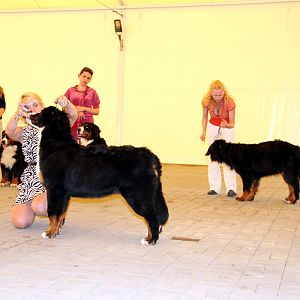 IMG_6296