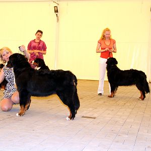 IMG_6298