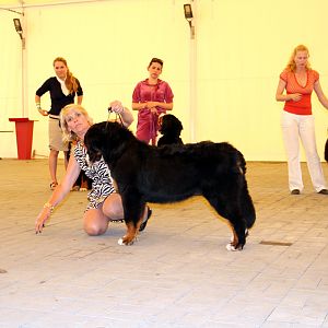 IMG_6299