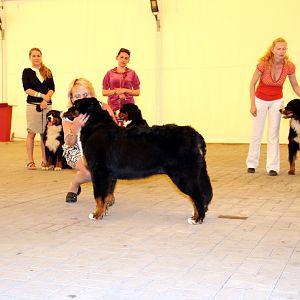 IMG_6300