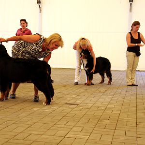 IMG_6302