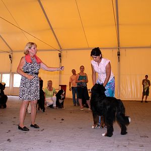 IMG_6316