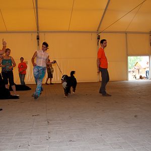 IMG_6320