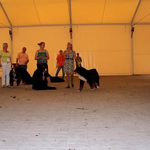 IMG_6325