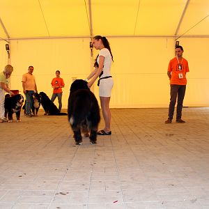 IMG_6331