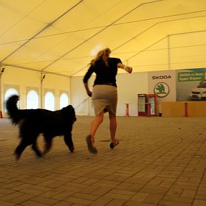 IMG_6332