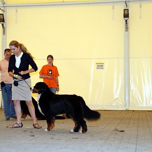 IMG_6338