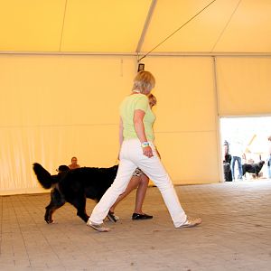 IMG_6349