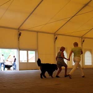 IMG_6350