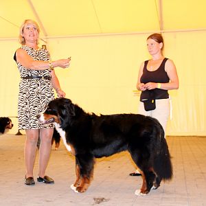 IMG_6358