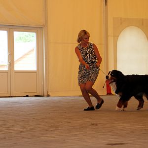 IMG_6361