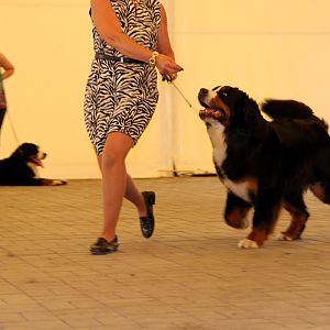 IMG_6362