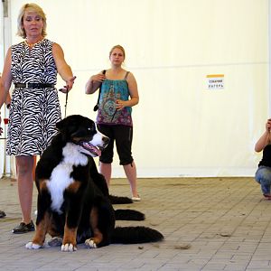 IMG_6368