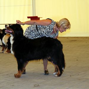 IMG_6369