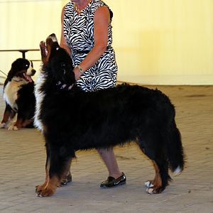 IMG_6370