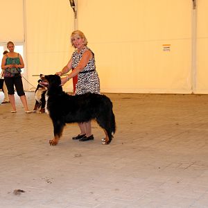 IMG_6371