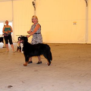 IMG_6372