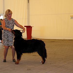 IMG_6373
