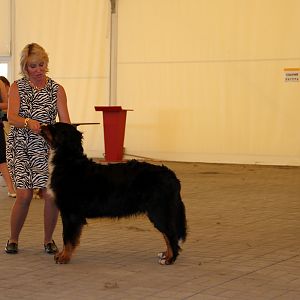 IMG_6374