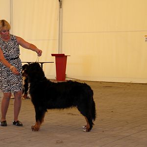 IMG_6375