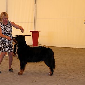 IMG_6376